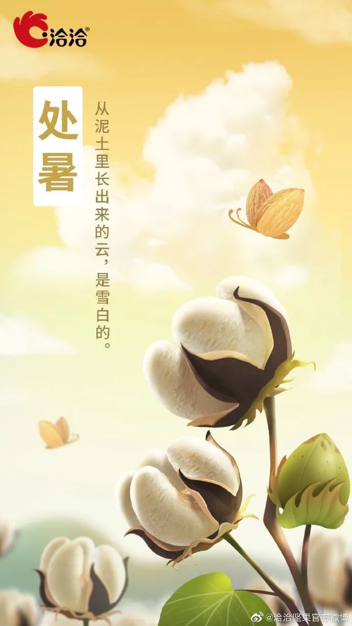 处暑借势创意文案赏析-传播蛙